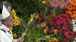 La primavera del Papa Francisco