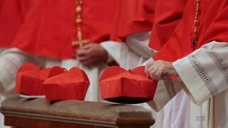 Birretas cardenalicias