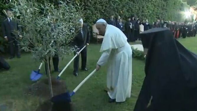Bartolomé, Francisco, Peres y Abbas plantaron un árbol por la paz