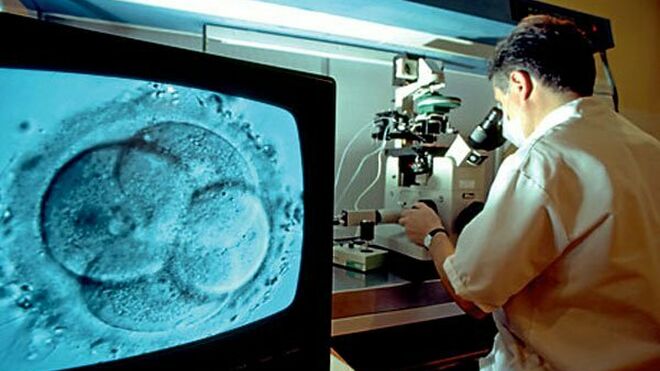 Investigación con embriones