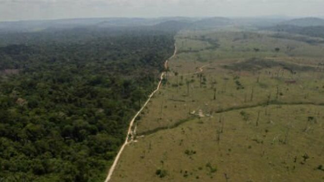 La brutal deforestación de la Amazonía
