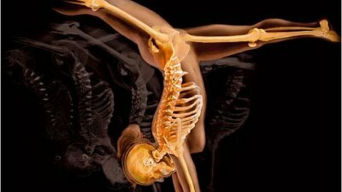 Belleza y ciencia humanas