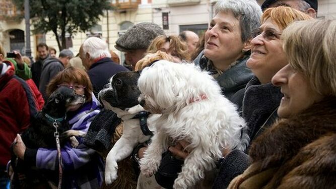 La gente espera a que sus mascotas sean bendecidas