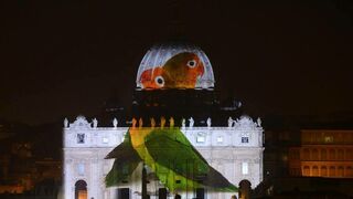 Cacatúas en el Vaticano