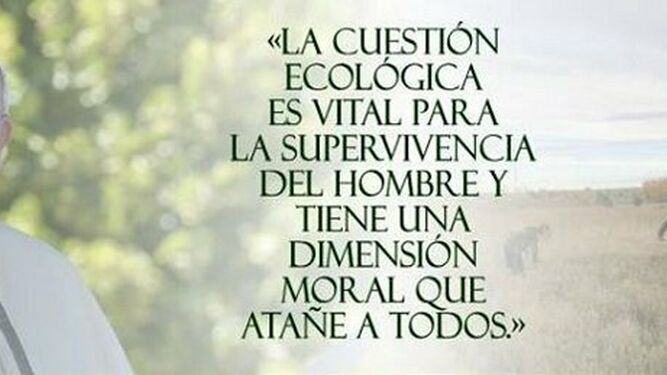La ecología del Papa Francisco