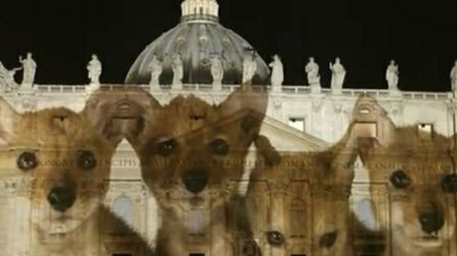 Francisco, contra los lobos en la Iglesia