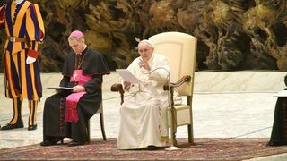 El Papa y Gänswein, durante una audiencia general