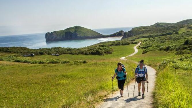 El Camino de Santiago