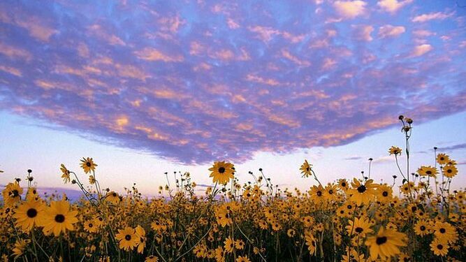 Cercanía de cielo y tierra