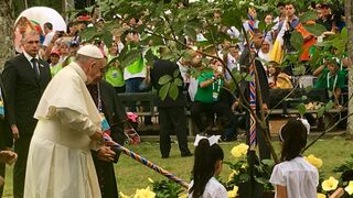 El Papa plantando un árbol