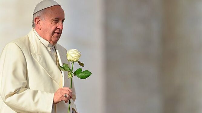 Francisco y la rosa blanca a la santa de Lisieux
