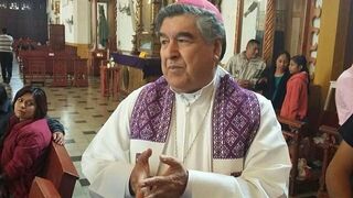 Felipe Arizmendi, neocardenal