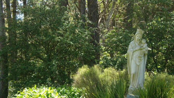 Virgen en la naturaleza