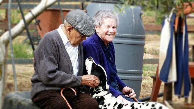 Ancianos y perro