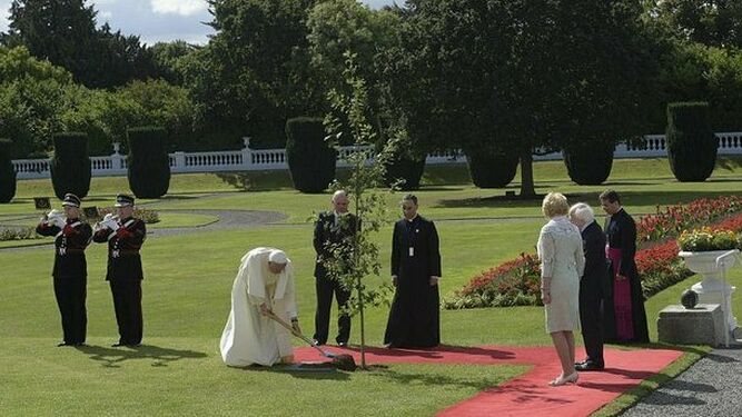 El Papa, plantando un árbol