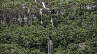 Amazonía colombiana