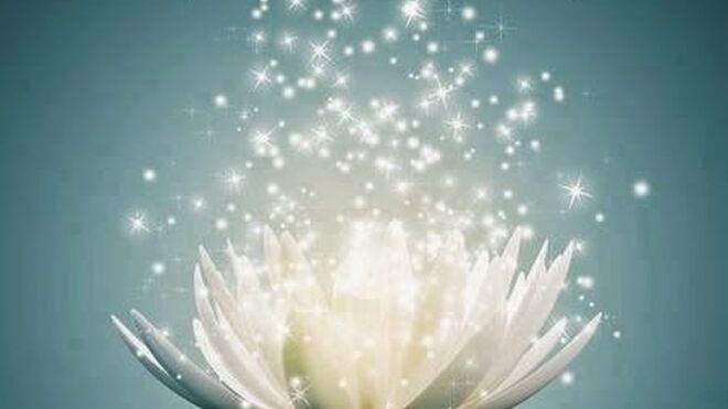meditacion
