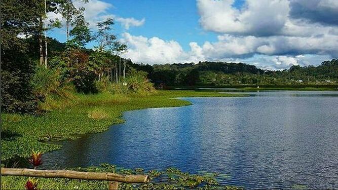 Amazonia peruana