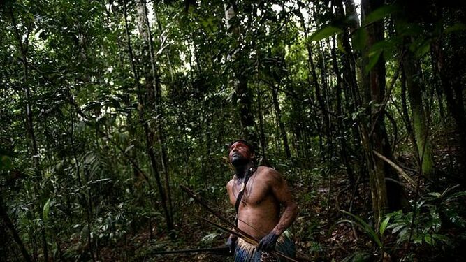 Sínodo de la Amazonía