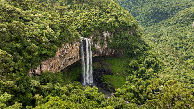 Amazonia