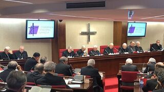 Plenaria del episcopado