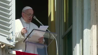 Francisco, durante el rezo del Angelus