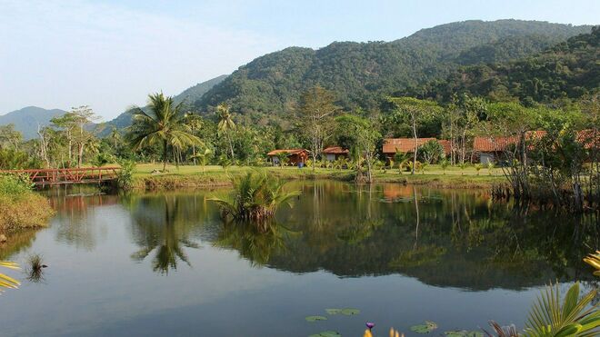 Amazonia