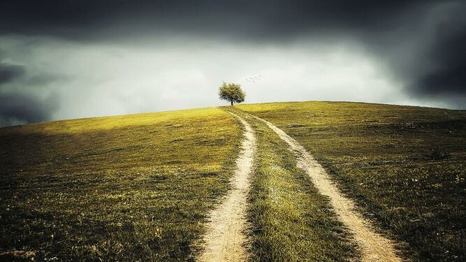 Camino de la vida