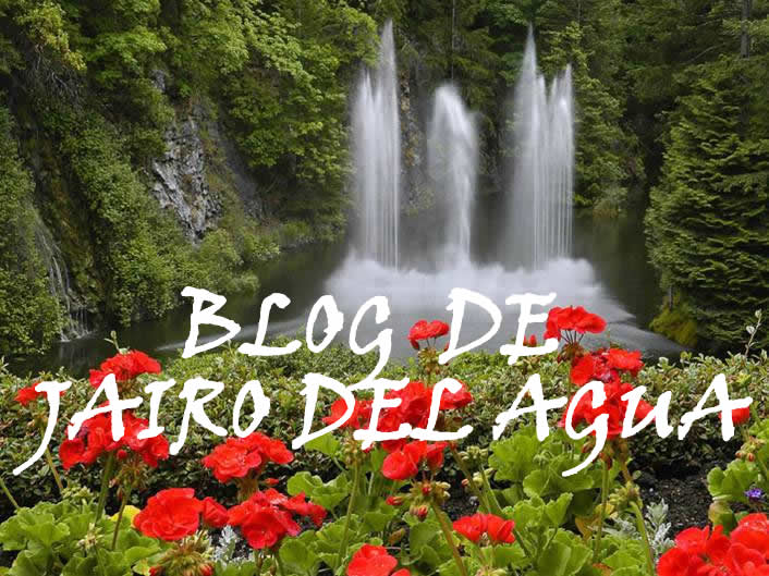 Blog Jairo 01