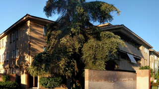 Colegio Mayor Almonte, de Sevilla, donde se produjeron los hechos