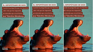 El hipopótamo de Dios, de Tolentino, en Narcea