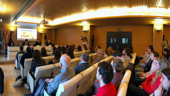 VIII Jornada del Instituto Universitario Calasanz de la UCV