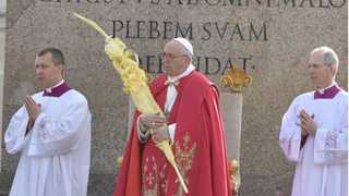 El Papa, el domingo de Ramos