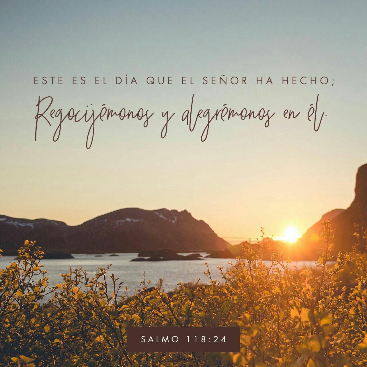 Salmo 118