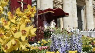 Papa de la primavera