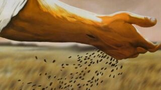 "Iré a sembrar semillas de encuentro y fraternidad"