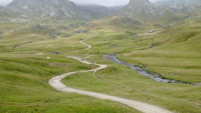 camino a seguir