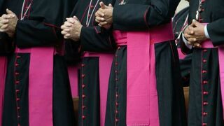 El Papa ayuda a los obispos a asumir sus responsabilidades ante la pederastia