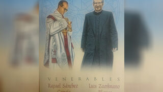 'Servidores de la misericordia'