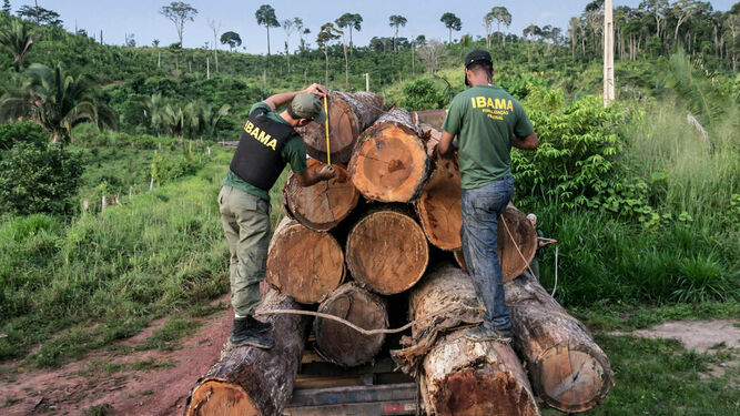 Deforestación de la Amazonía