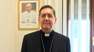 Miguel Ángel Ayuso Guixot