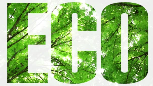 Eco