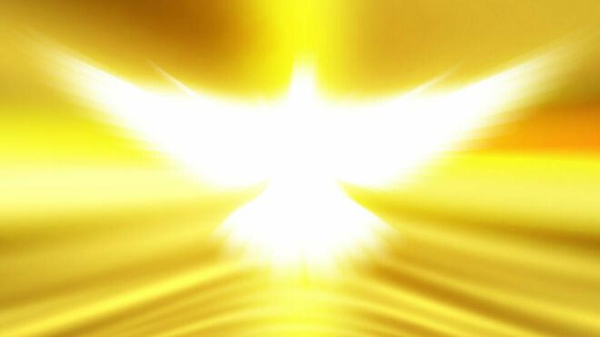 No hay alma sin forma, ni forma sin alma