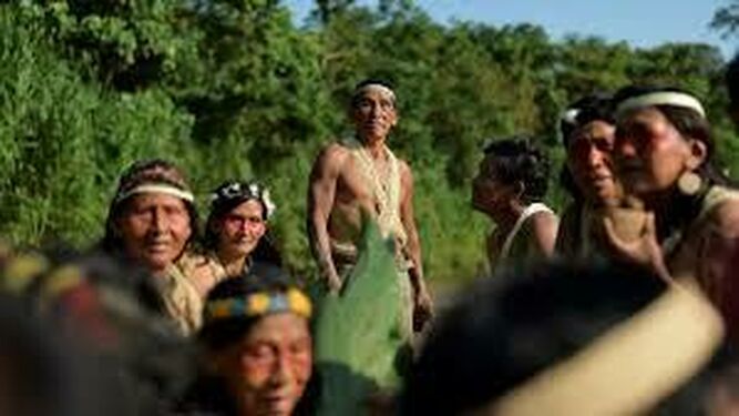 Sínodo Amazonía 2019