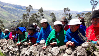 Ecuador. Manos Unidas fortaleció en 2018 la promoción de una agricultura familiar sostenible y respetuosa con el medio ambiente