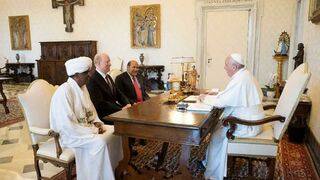 El Papa, con representantes de la Federación para la Paz Universal