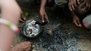 Informe de la FAO sobre el hambre en el mundo
