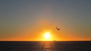 El Dios Padre y amigo no se desentiende se los suyos y su historia