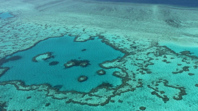 Sostenibilidad de mares y océanos