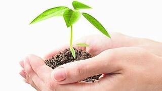 El cuidado de la vida